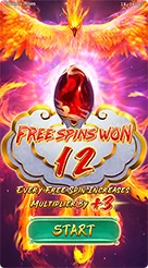 vip555 · Phoenix Rises